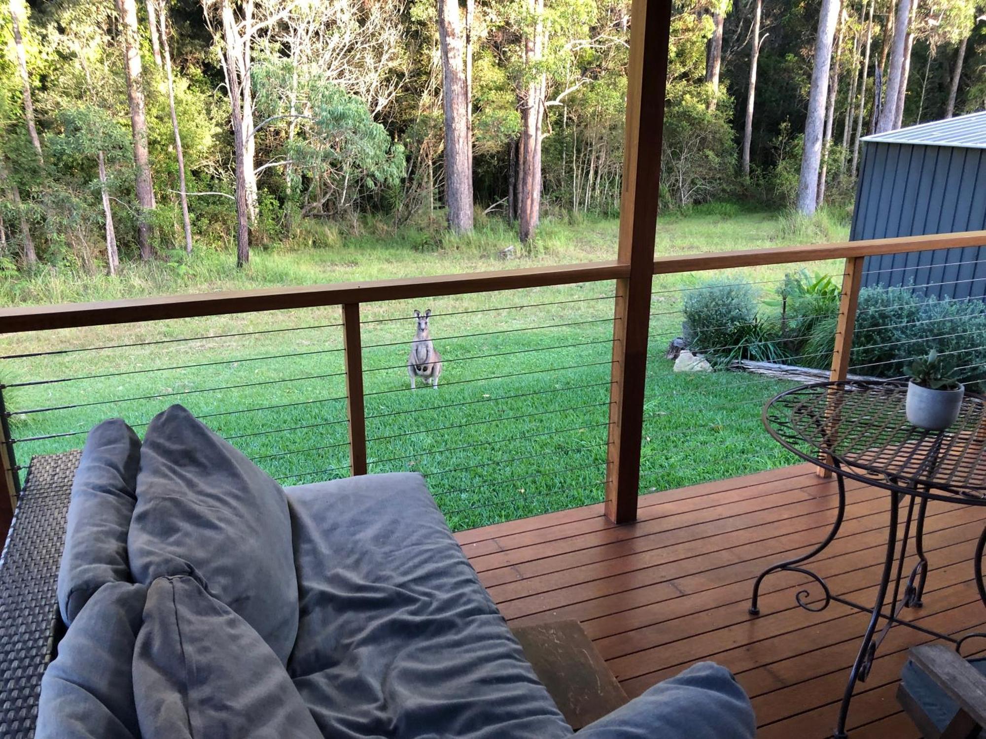Apartment The - Luxurious & Calm - And Bush Retreat Valla Beach